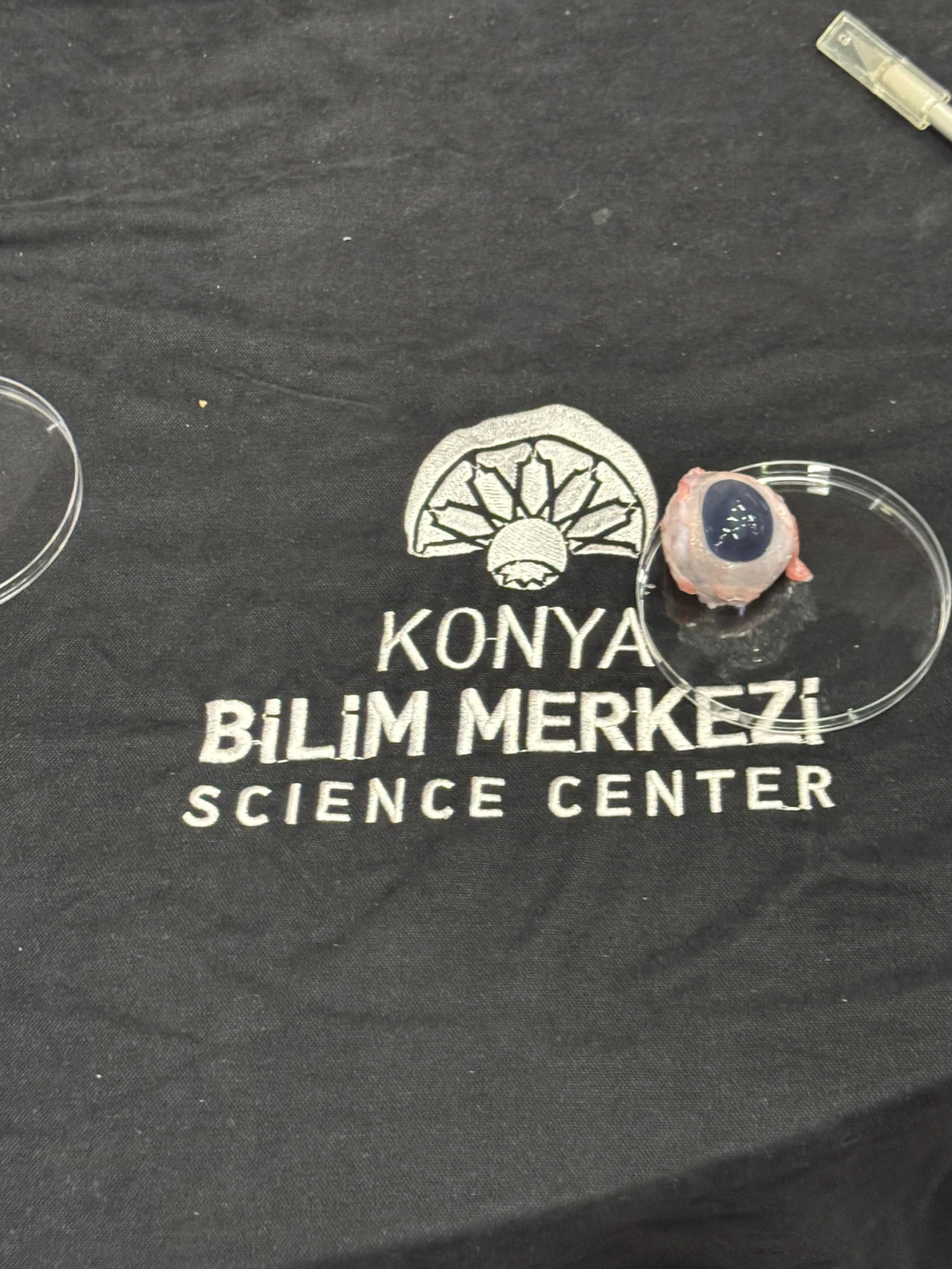 Konya Bilim Merkezi ile Eğitim Fakültesi İş Birliği